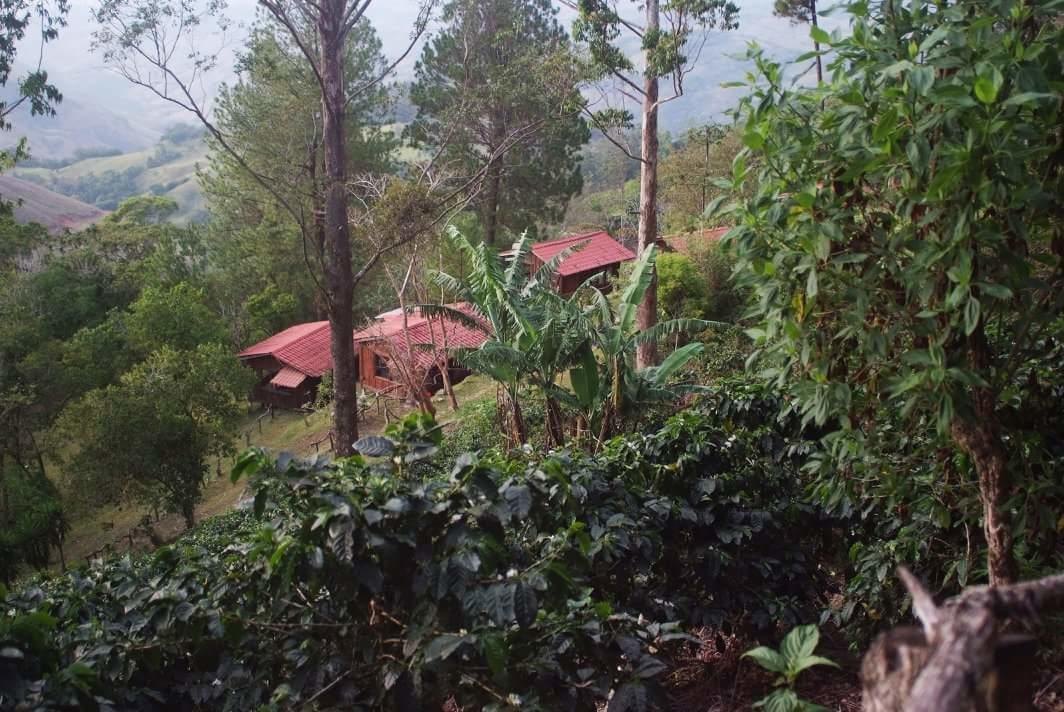 Farm stay Don Camilo De Montana Cabecera de Canas