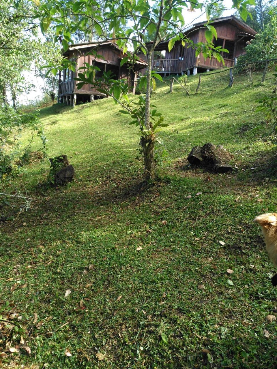 Farm stay Don Camilo De Montana