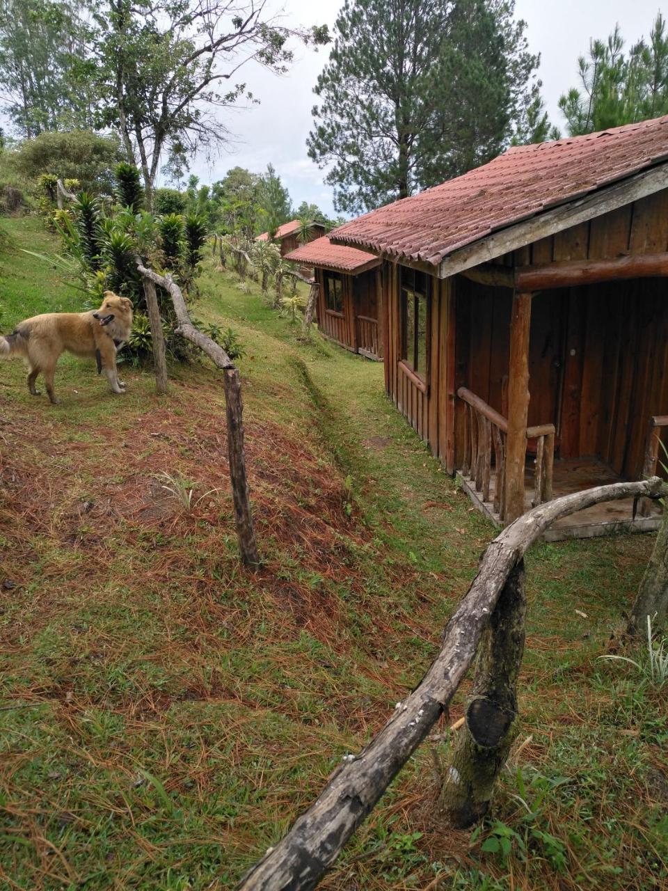 Don Camilo De Montana Farm stay Cabecera de Canas