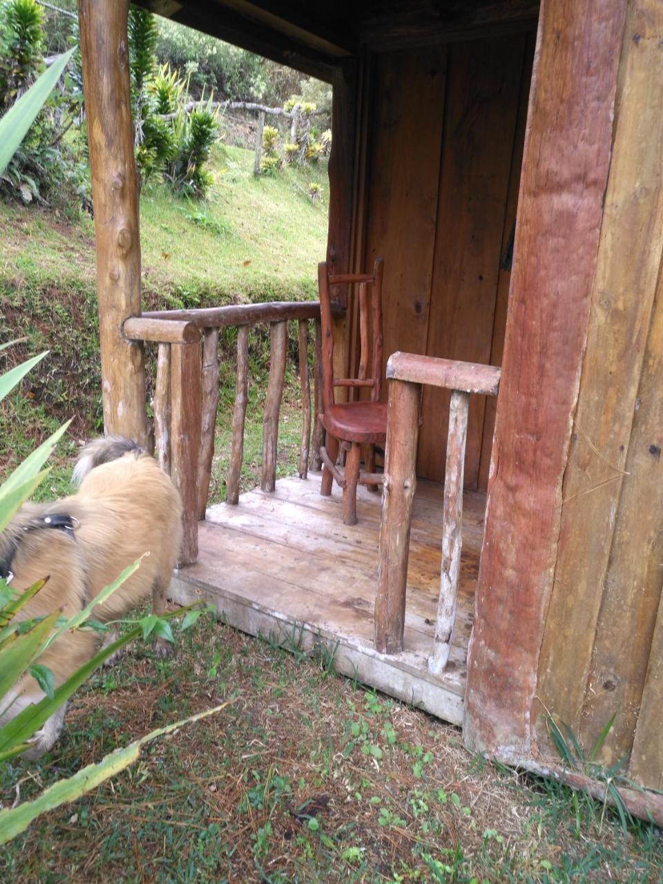 Farm stay Don Camilo De Montana