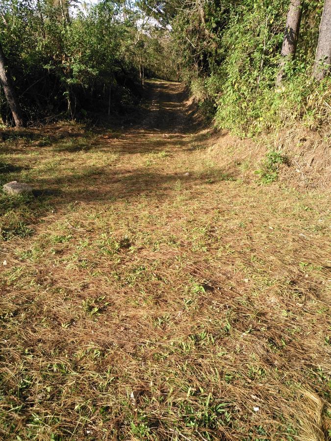 Don Camilo De Montana Farm stay