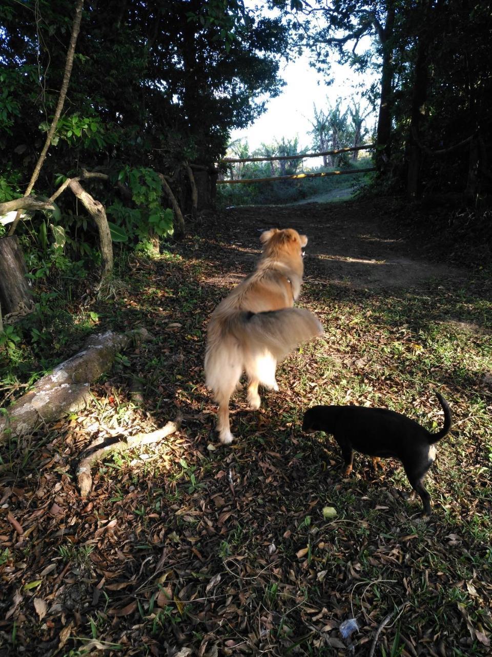 Don Camilo De Montana Farm stay Cabecera de Canas