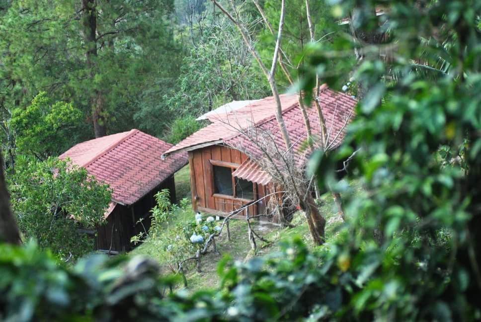 Farm stay Don Camilo De Montana *