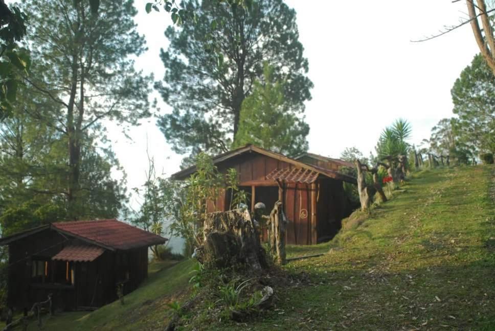 Farm stay Don Camilo De Montana