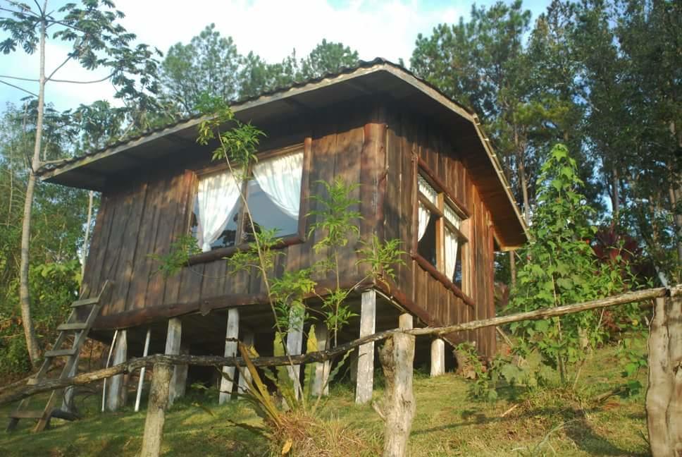 Farm stay Don Camilo De Montana *