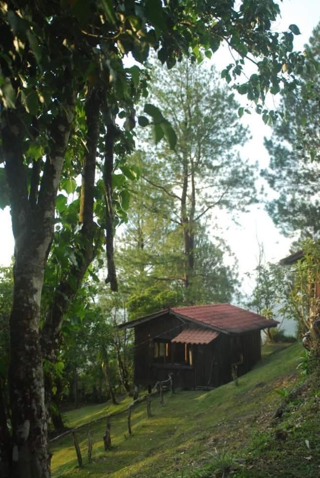 Don Camilo De Montana Farm stay *