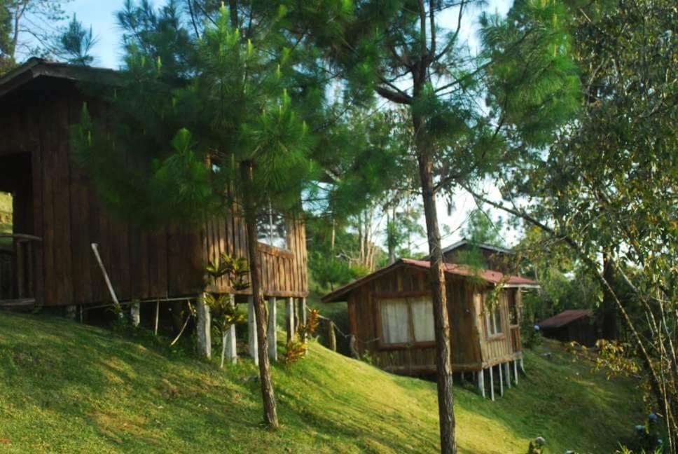 Farm stay Don Camilo De Montana