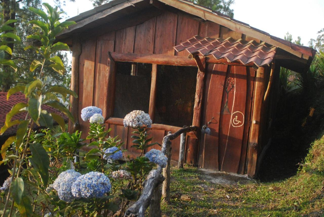 Don Camilo De Montana Farm stay Cabecera de Canas